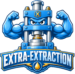 Extra-Extraction
